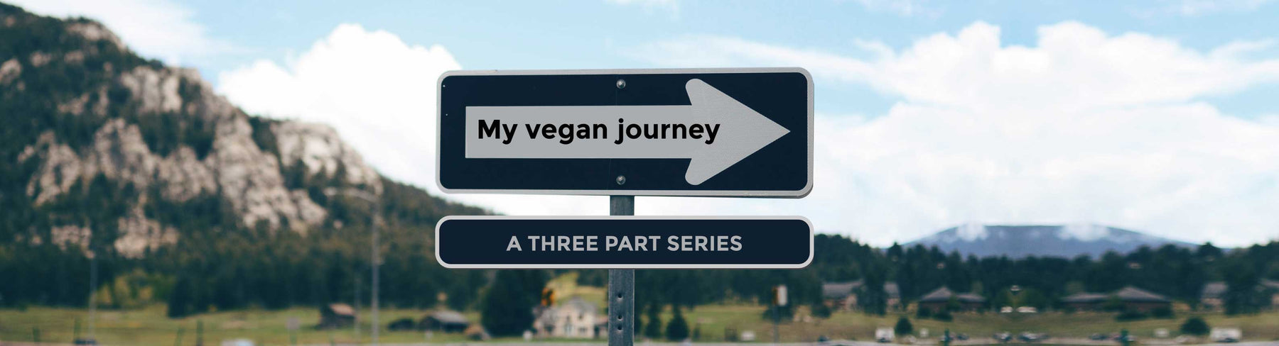 How to Become a Vegan- My Journey Part 1