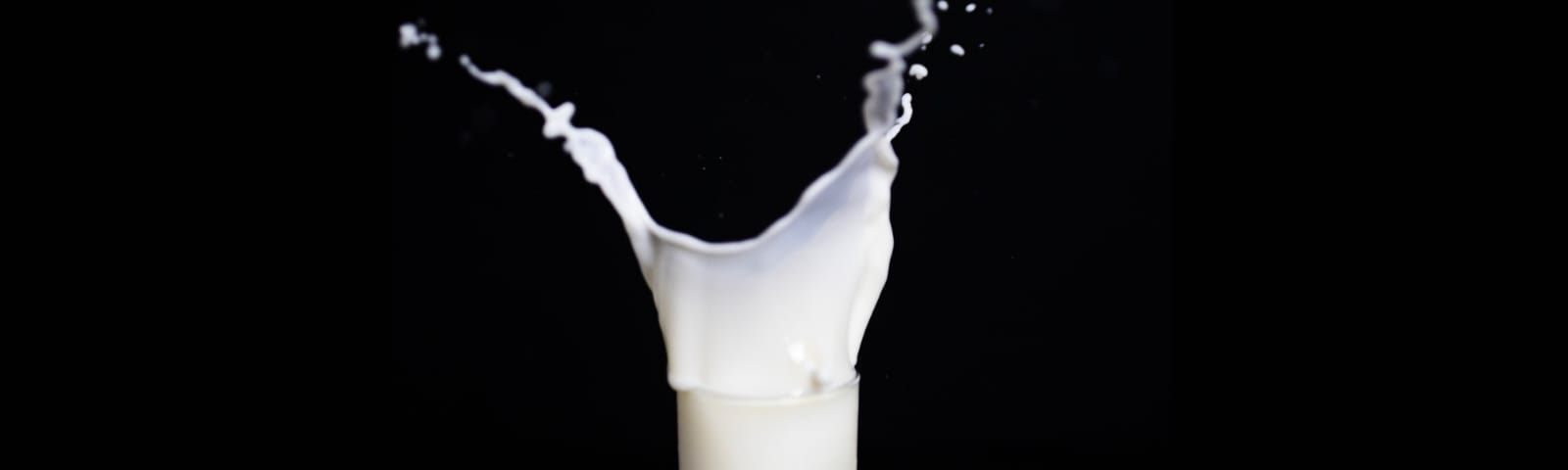 milk, vegan milk, vegan mylk, plant-based milk, plant-based mylk